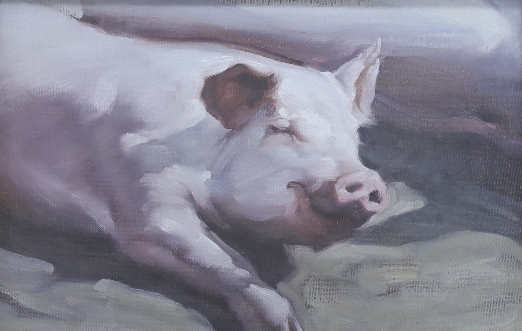 M.J.C.L, oil on board, Study of a sleeping pig, initialled, 35cm x 22cm